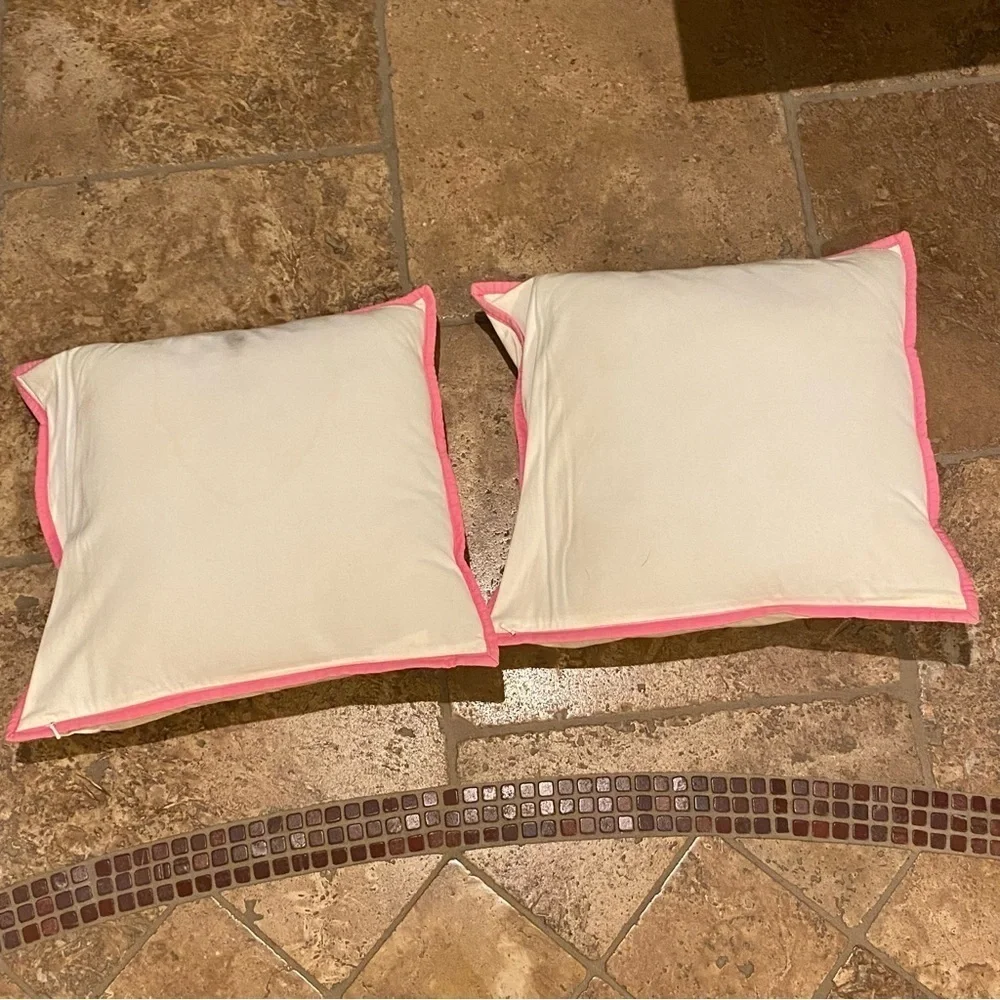 POTTERY BARN KIDS Floral 2 Pillow Set 16”x17”